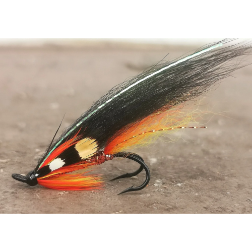 Black Copper Bodied Templedog Salmon fishing fly pattern