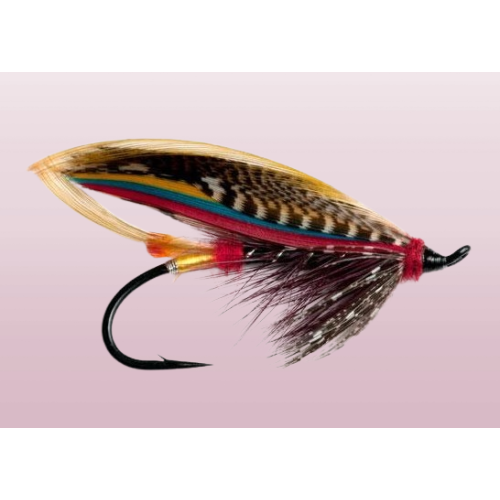 Black Doctor Copper Bodied Templedog Salmon Fly