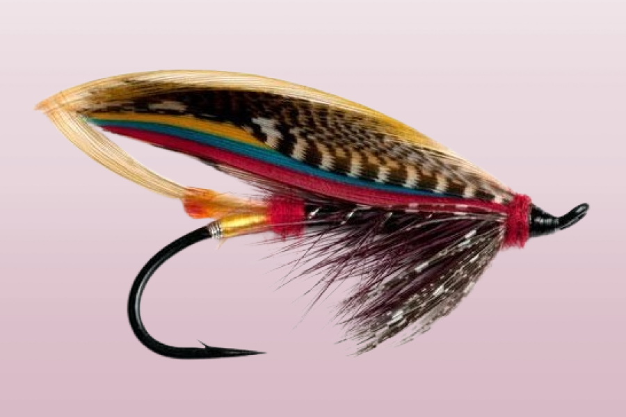 Black Doctor Copper Bodied Templedog Salmon Fly