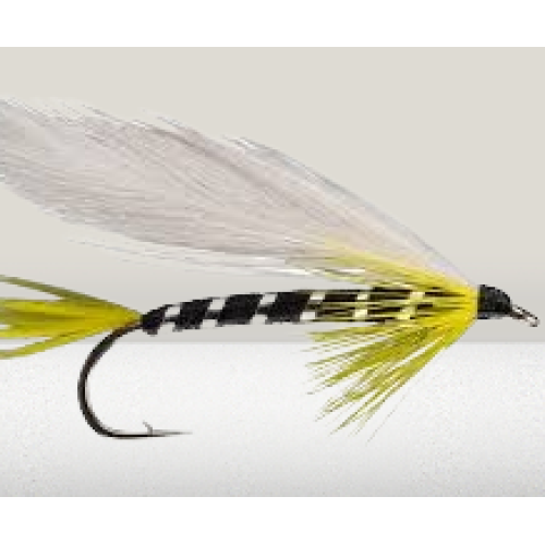 Black Ghost Pike Fly