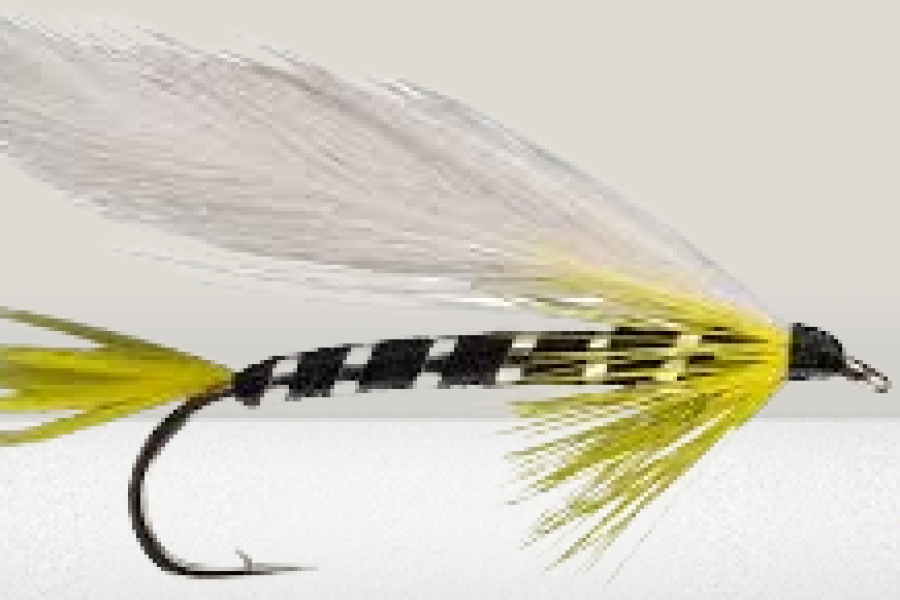 Black Ghost Streamer Fly