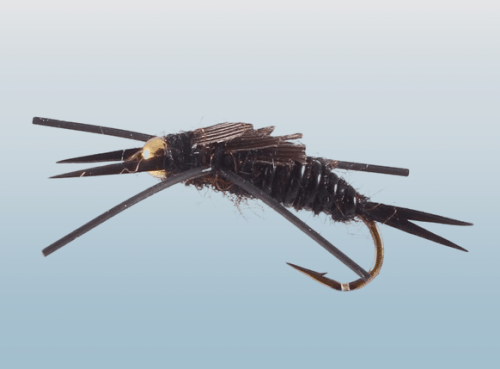 Black Stonefly Nymph, Bead Head, Rubber Leg, Black