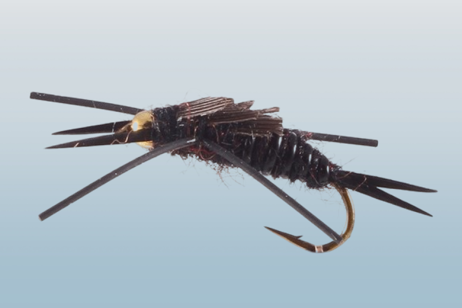 Black Stonefly Nymph, Bead Head, Rubber Leg, Black