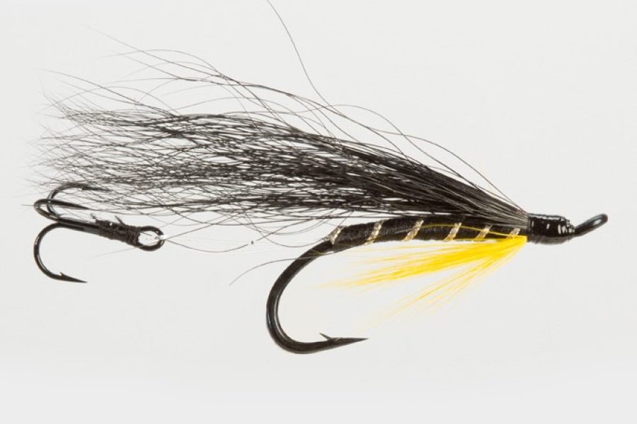 Black & Yellow Flying T Sea Trout