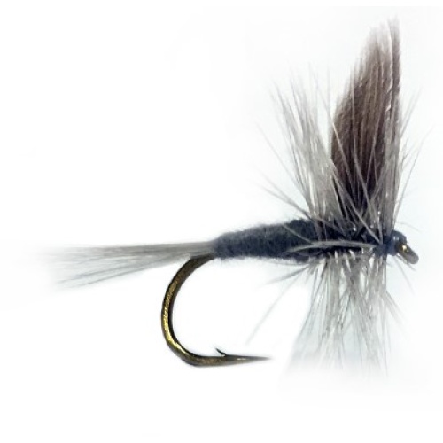 Blue Dun Dry MayFly