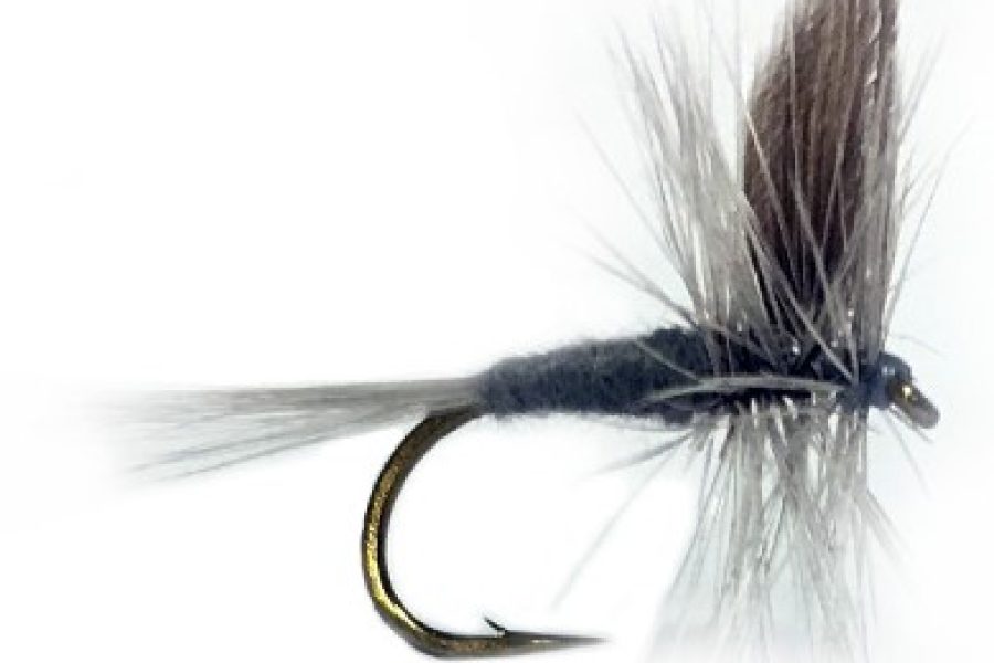 Blue Dun Dry MayFly