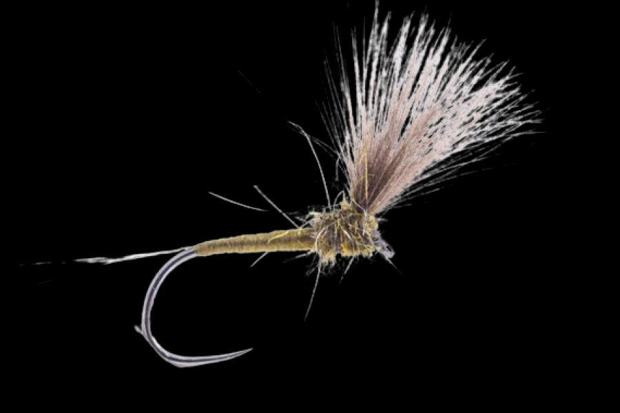 Blue Winged Olive, CDC fly