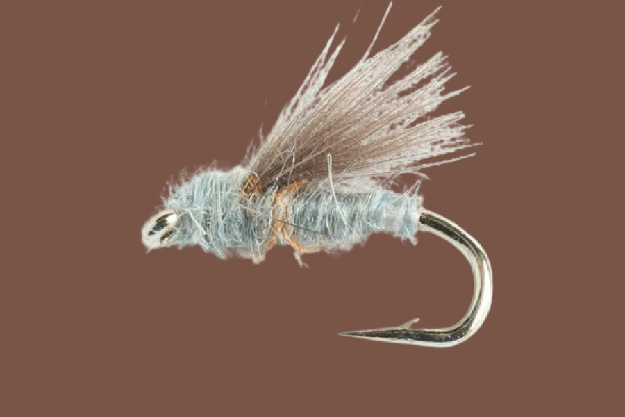 Blue Winged Olive, Emerger, RS2