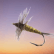 Blue Winged Olive Hi Float dry fly
