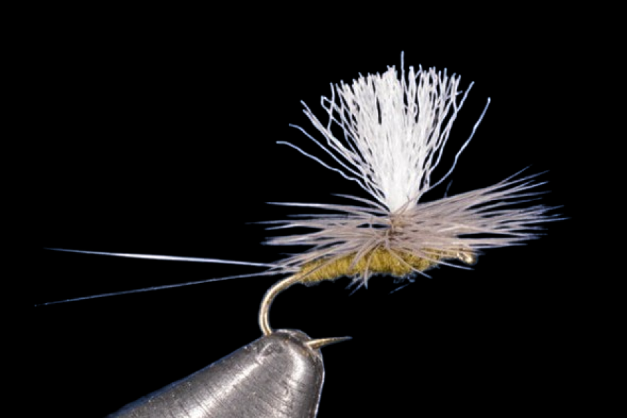 Blue Winged Olive, Parachute fly