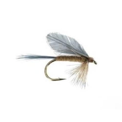 Burnt Wing Light Hendrickson Dry MayFly