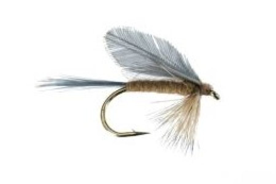 Burnt Wing Light Hendrickson Dry May Fly