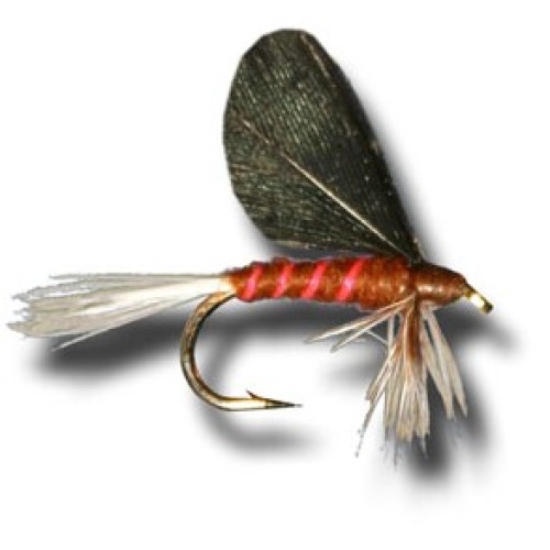 BurntWing Mahogany Dry MayFly