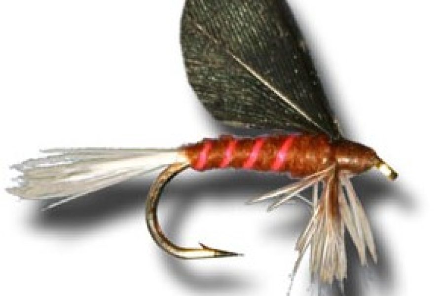 Burnt Wing Mahogany Dry MayFly