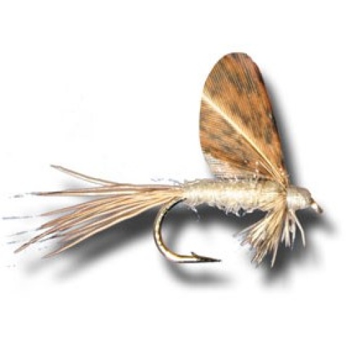 Burnt Wing Light Cahill Dry May Fly