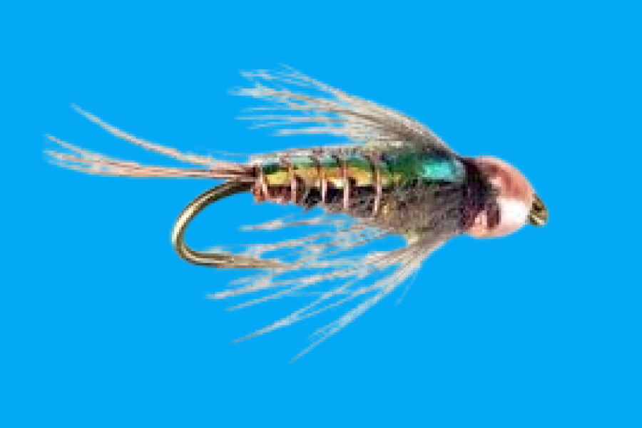 CDC Flashback Pheasant Tail, tungsten bead