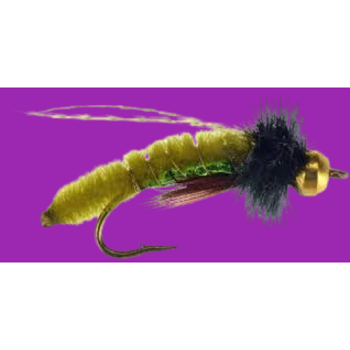 Caddis Poopah, Bead Head, Olive