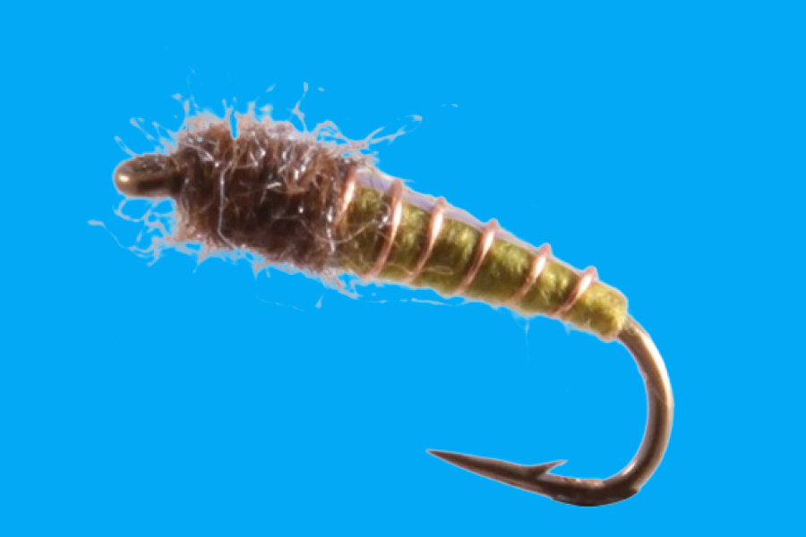 Caddis Pupa, Electric, Olive fly