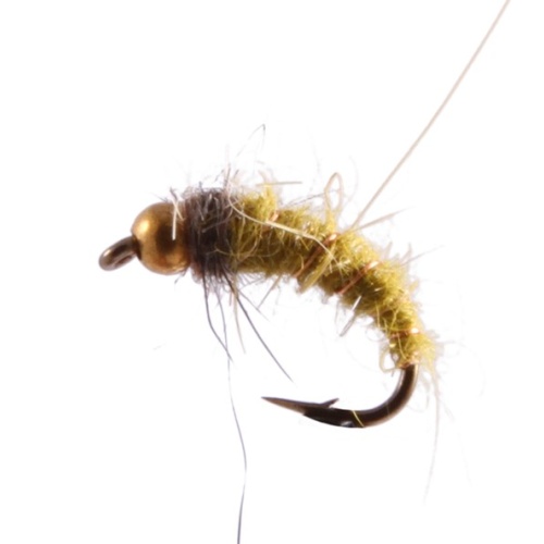 Caddis Pupa, Hares Ear, Bead Head Olive