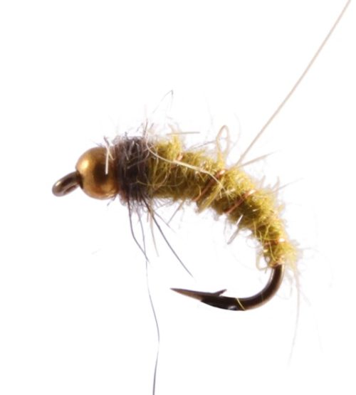 Caddis Pupa, Hares Ear, Bead Head Olive