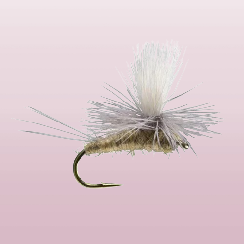 Callibaetis Parachute Dry MayFly