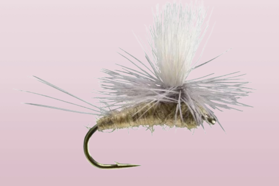 Callibaetis Parachute MayFly