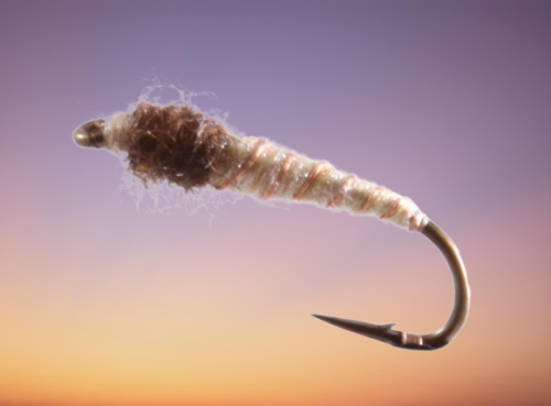 Cream Electric Caddis Pupa