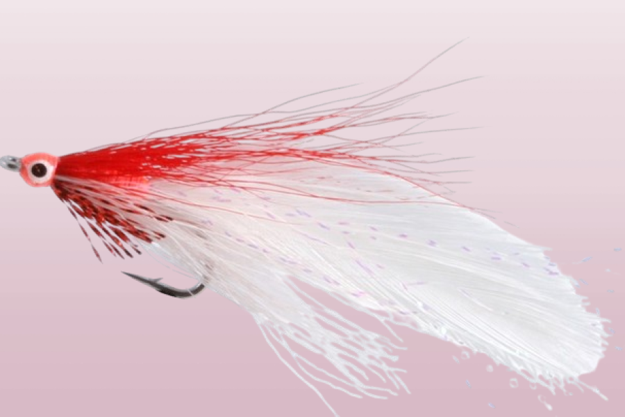 Deceiver Red-White fishing fly Pattern