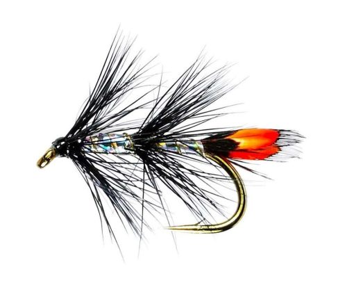 Delphi Black JC Sea Trout Single