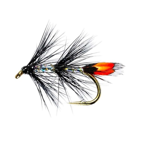 Delphi Black JC Sea Trout Single