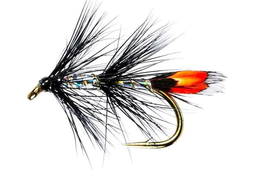 Delphi Black JC Sea Trout Single