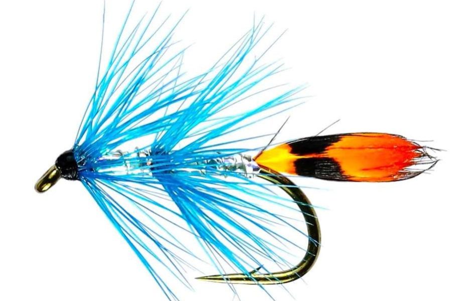 Delphi Blue JC Sea Trout Single