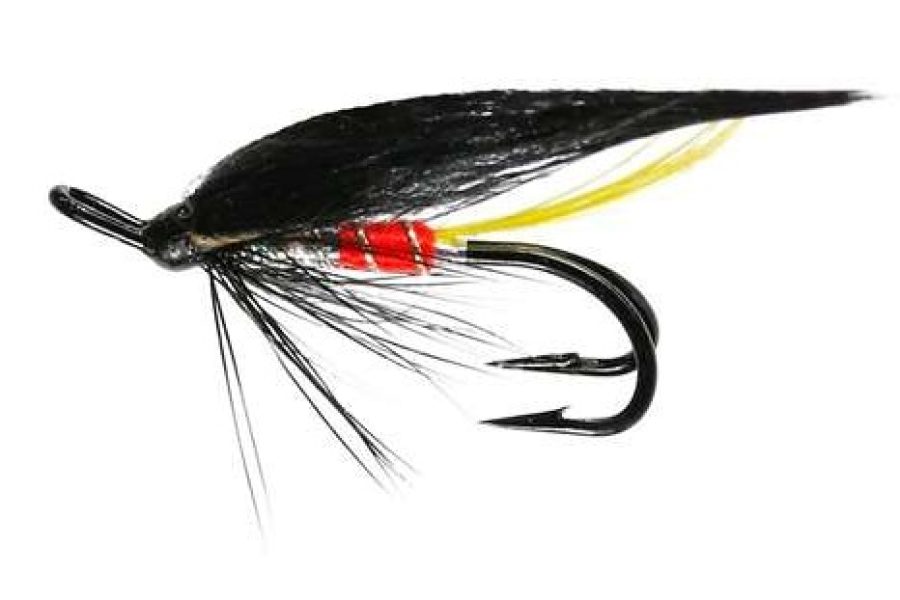 Editor Tail Friggi Double Salmon Fly