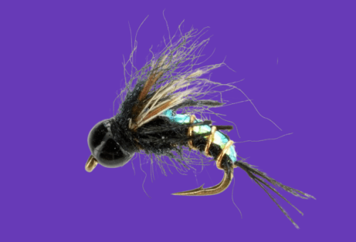 Gardner's Never Bug Black caddis nymph fly pattern