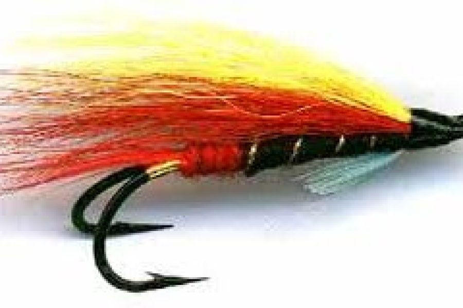 Garry Dog Double Hook Salmon Fly