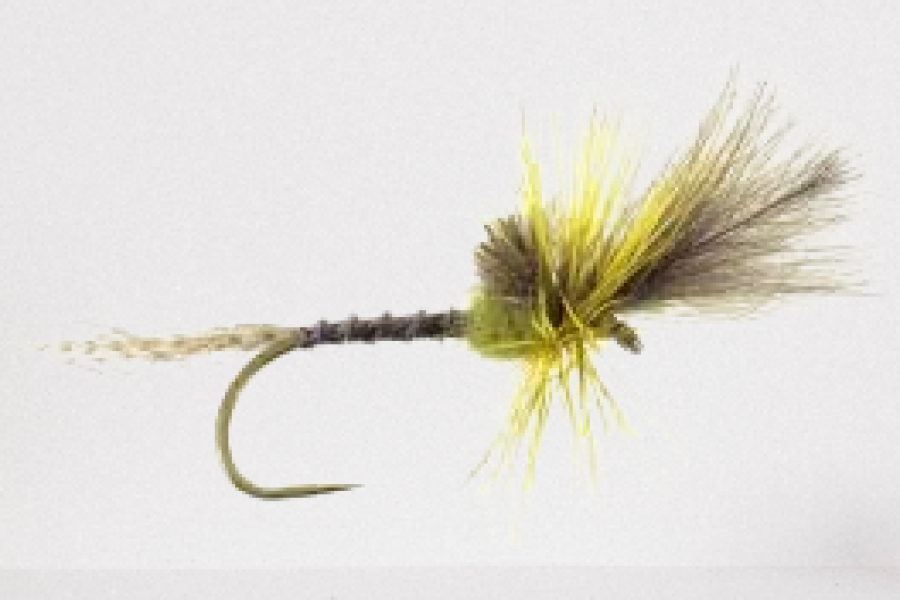 Green Drake Cripple Dry May Fly