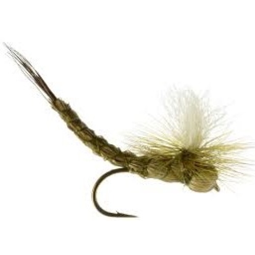 Green Drake Paradrake Dry May Fly