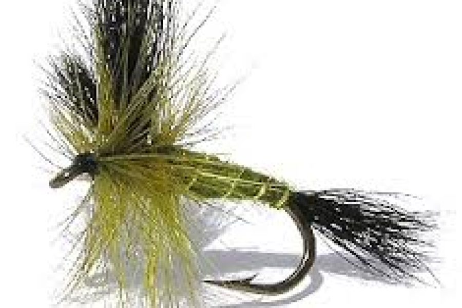 Green Drake Wulff mayfly