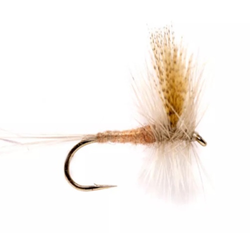 Light Hendrickson Mayfly