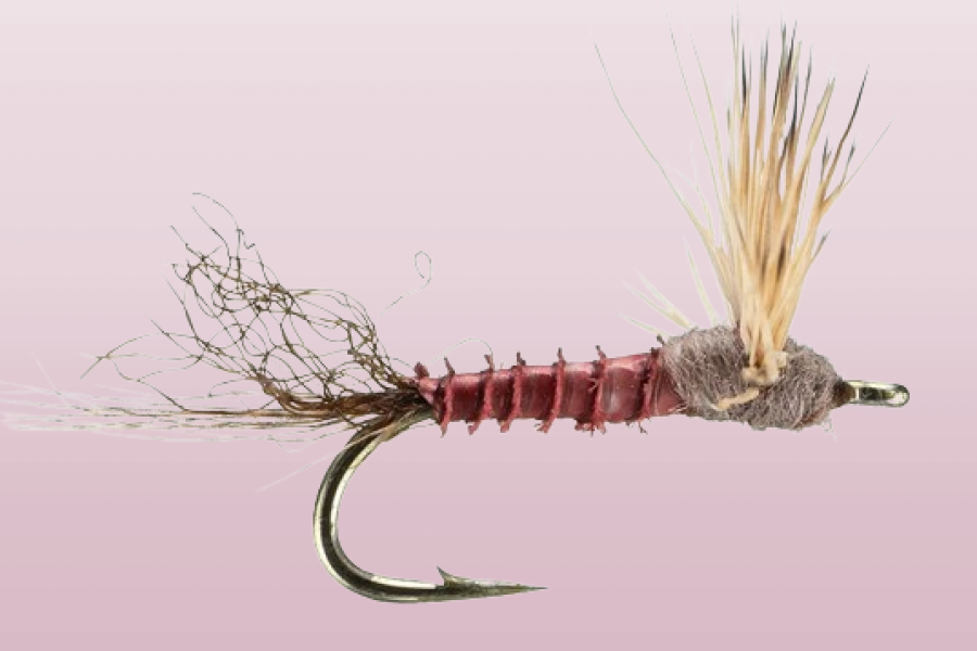 Mahogany Dun, sparkle mayfly