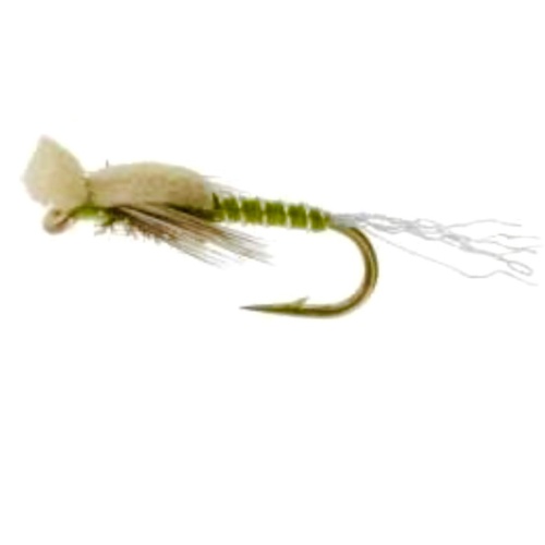 Mayhem Midge Olive