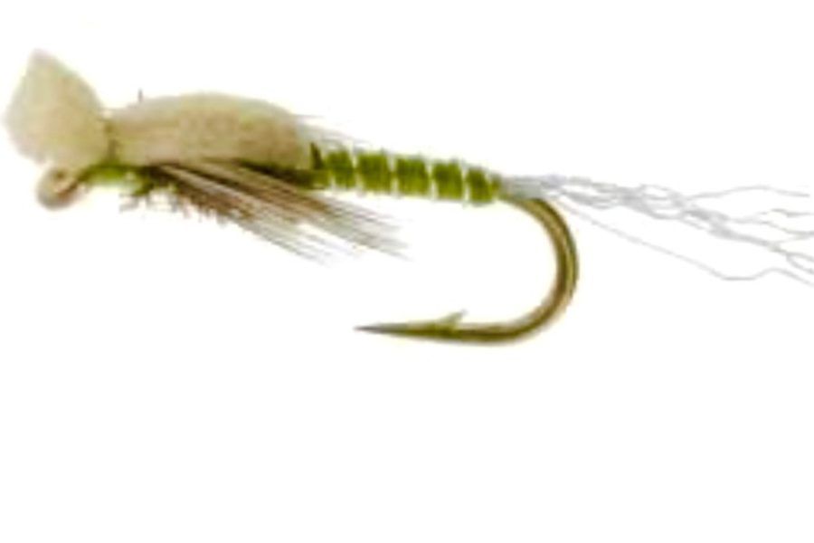 Mayhem Midge Olive