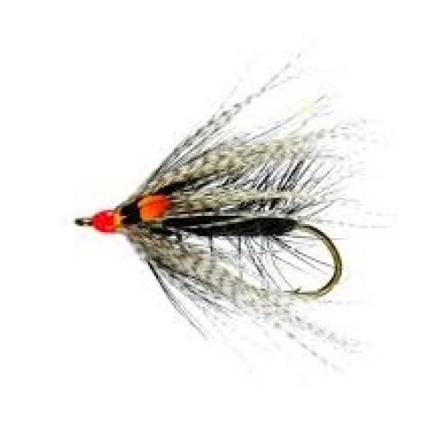 Midnight Magic JC Sea Trout Single