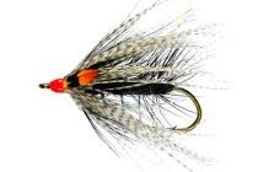 Midnight Magic JC Sea Trout Single