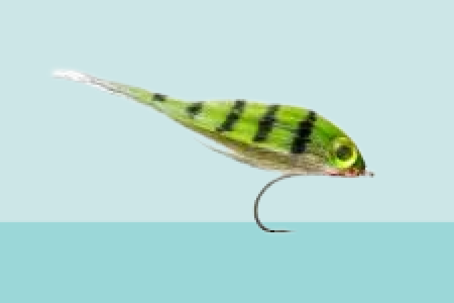 Mini Perch Pike Fly