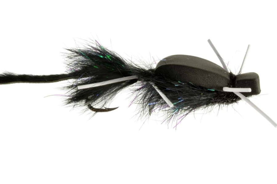 Nervous Neda Croff’s Mouse Fly