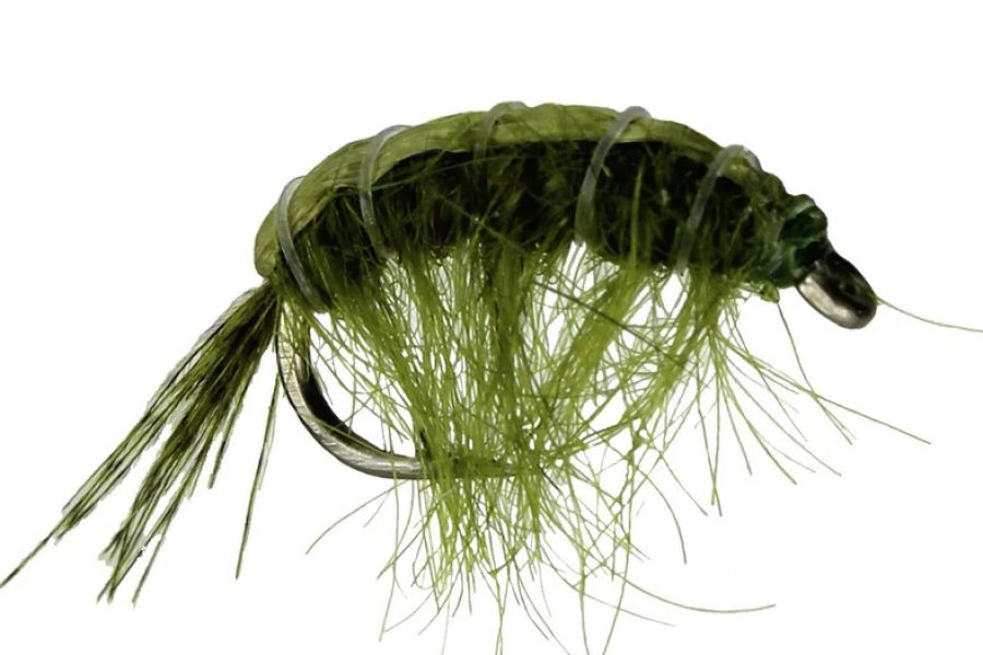 Olive Net Builder scud fly