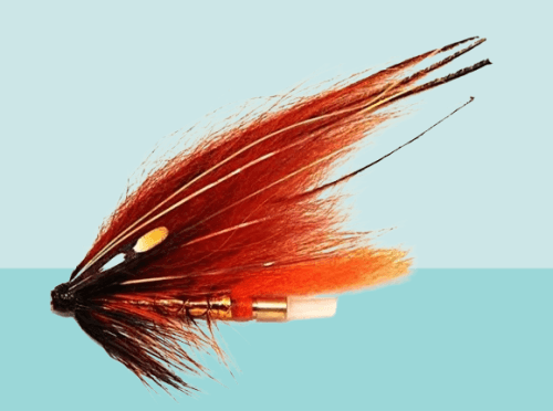 Phatagorva Copper Bodied Templedog Salmon Fly