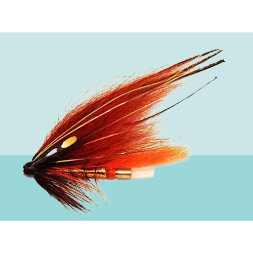 Phatagorva Copper Bodied Templedog Salmon Fly