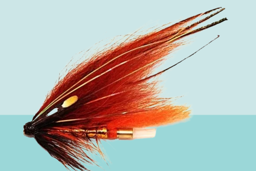 Phatagorva Copper Bodied Templedog tube Fly